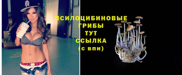 наркотики Богородицк