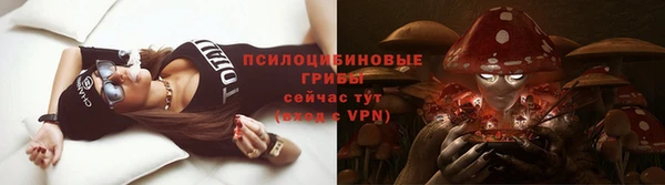 наркотики Богородицк