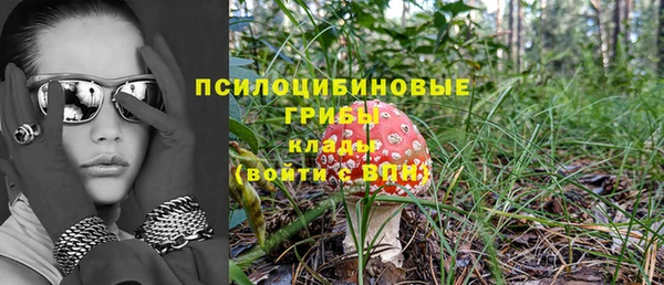 мескалин Богданович